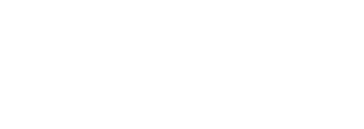 VIP service bucharest airport